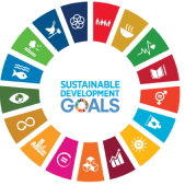 Image showing the Sustainable Development Goals logo